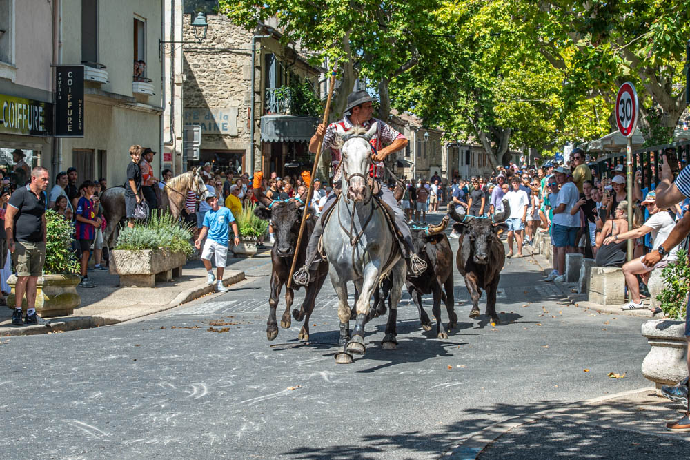 Au cœur de la Camargue, la culture et les traditions. Act 1